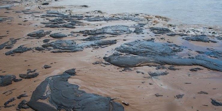 Impactos do vazamento de óleo no Brasil devem durar mais de 1 década, projeta biólogo